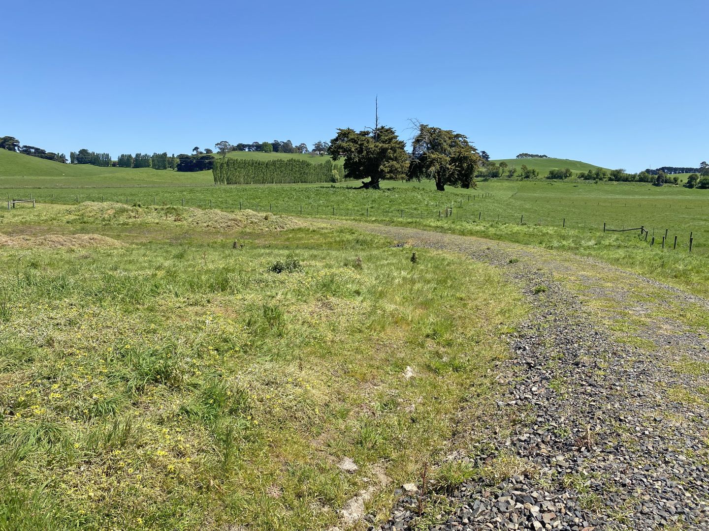 Lot 1/54 Wolonga Estate Road, Kongwak VIC 3951, Image 1