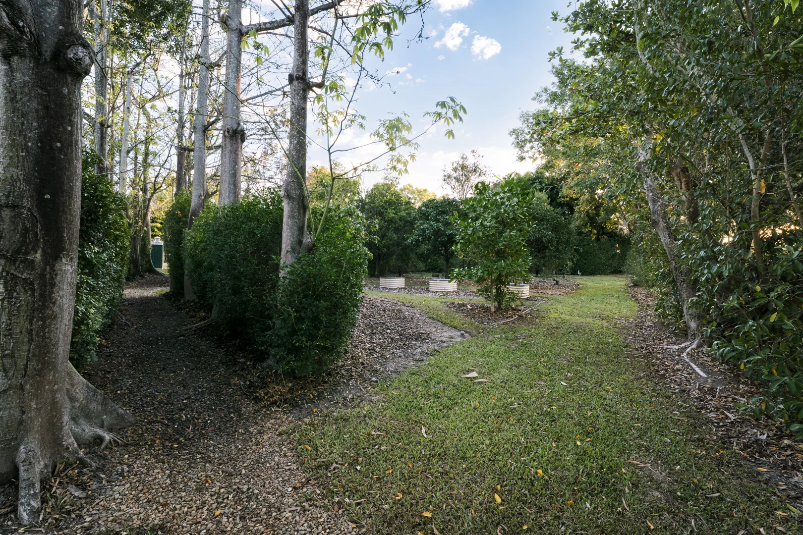 Image 28