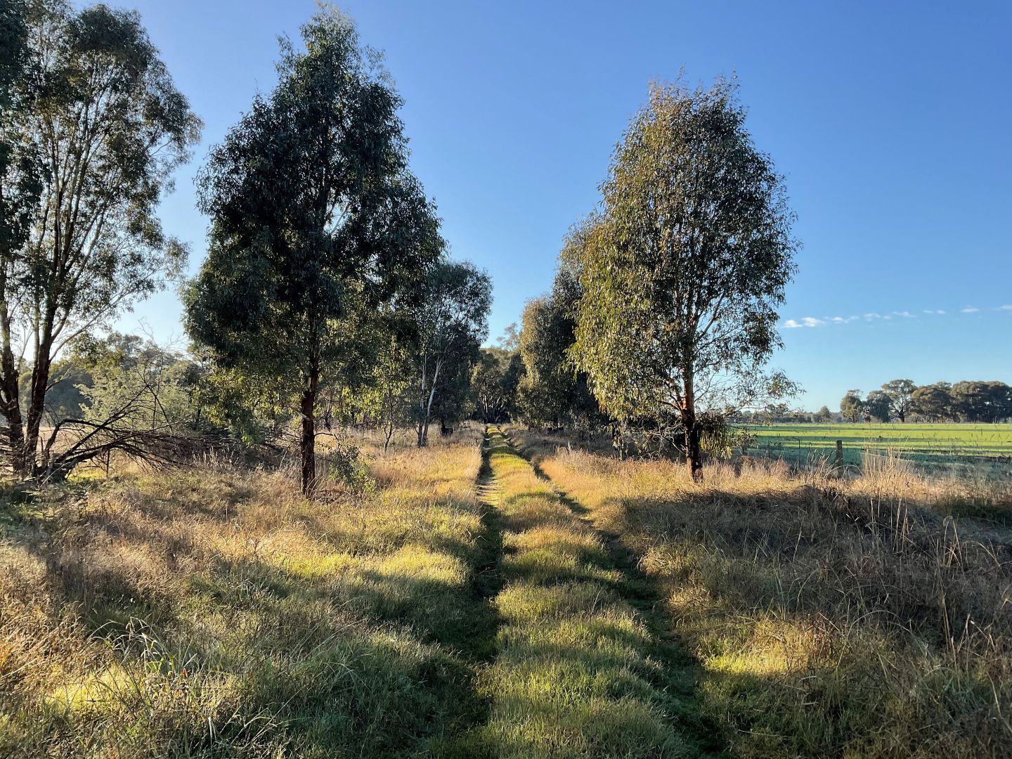 Wallace Consul Road, Lilliput VIC 3682, Image 2