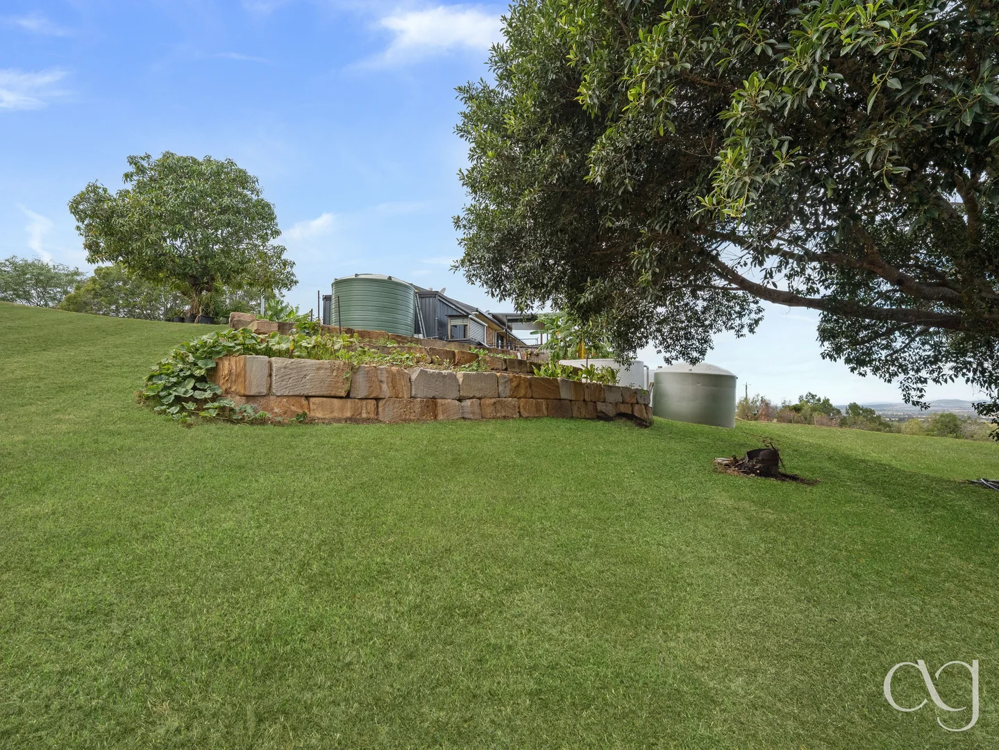 Image 31