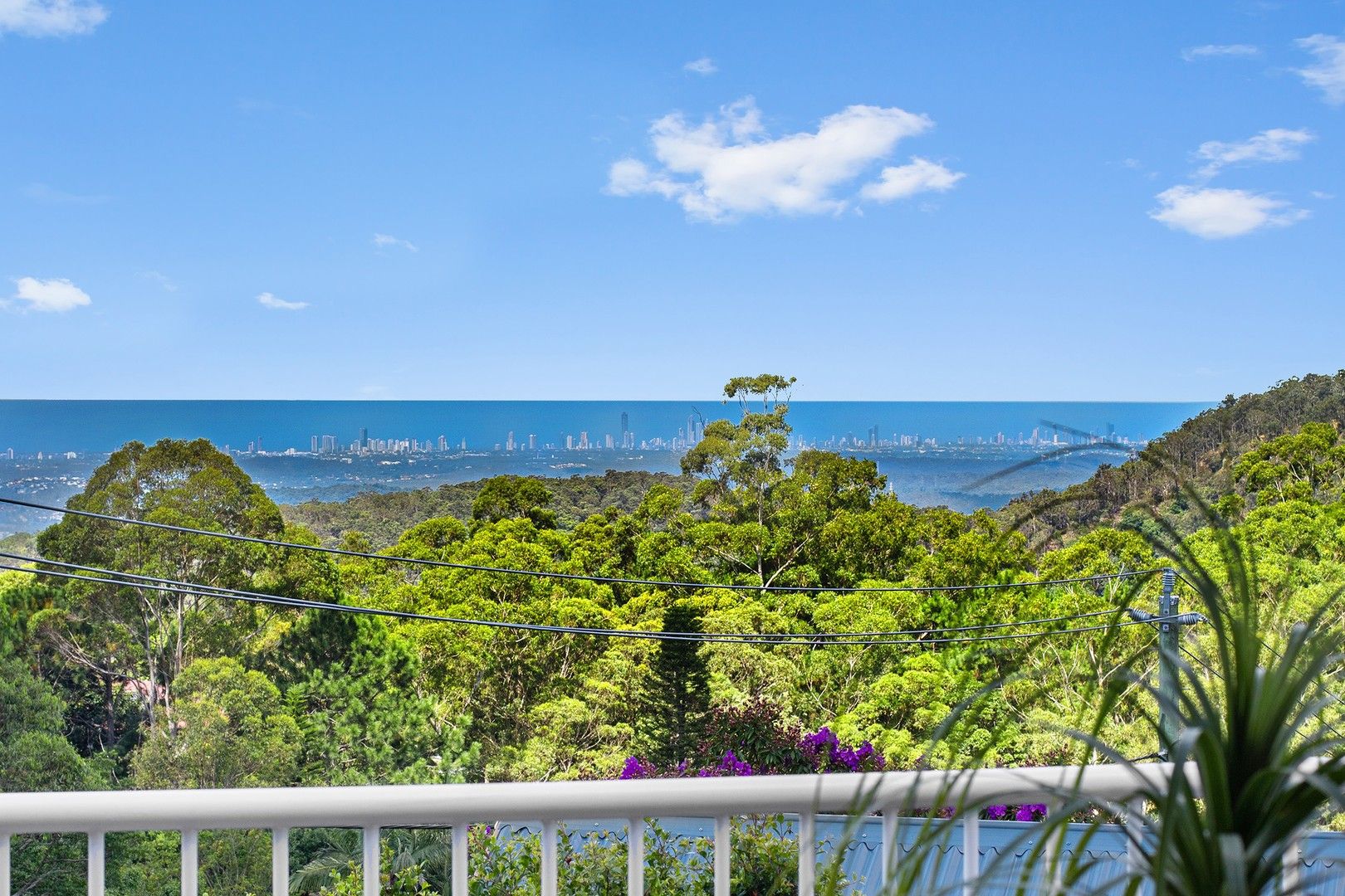 31 Drive, Tamborine Mountain QLD 4272 Domain