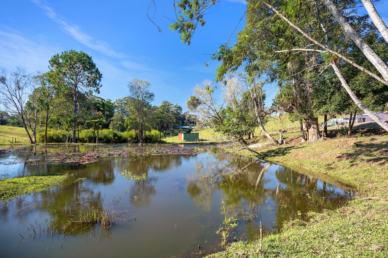 204 Coes Creek Road, Coes Creek QLD 4560, Image 2