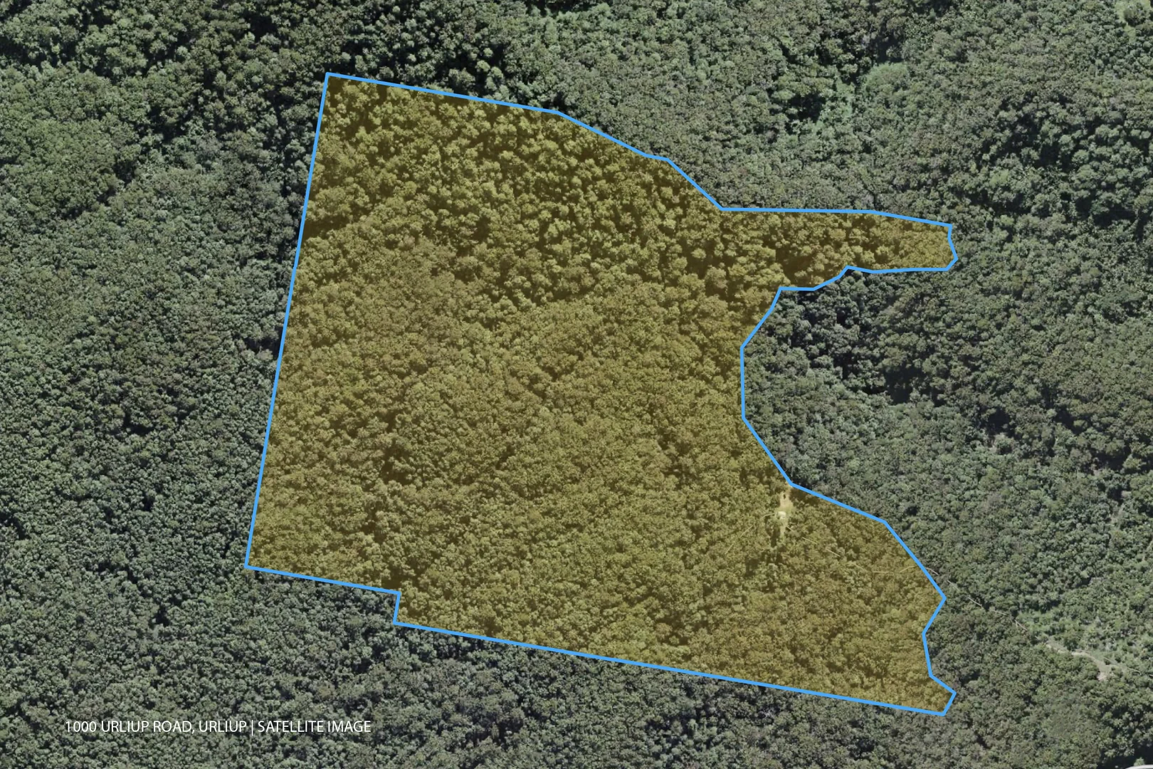 Additional image 3 of 1000 Urliup Road, Urliup NSW 2484