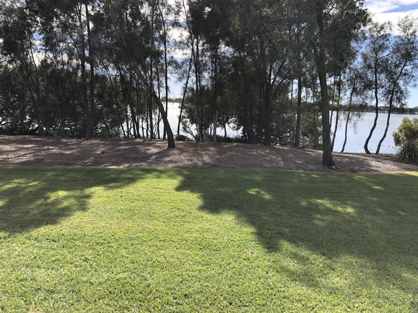 Image 31