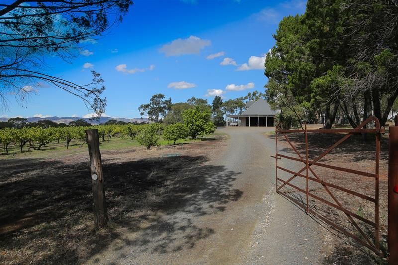 173 Jollytown Road, Lyndoch SA 5351, Image 1