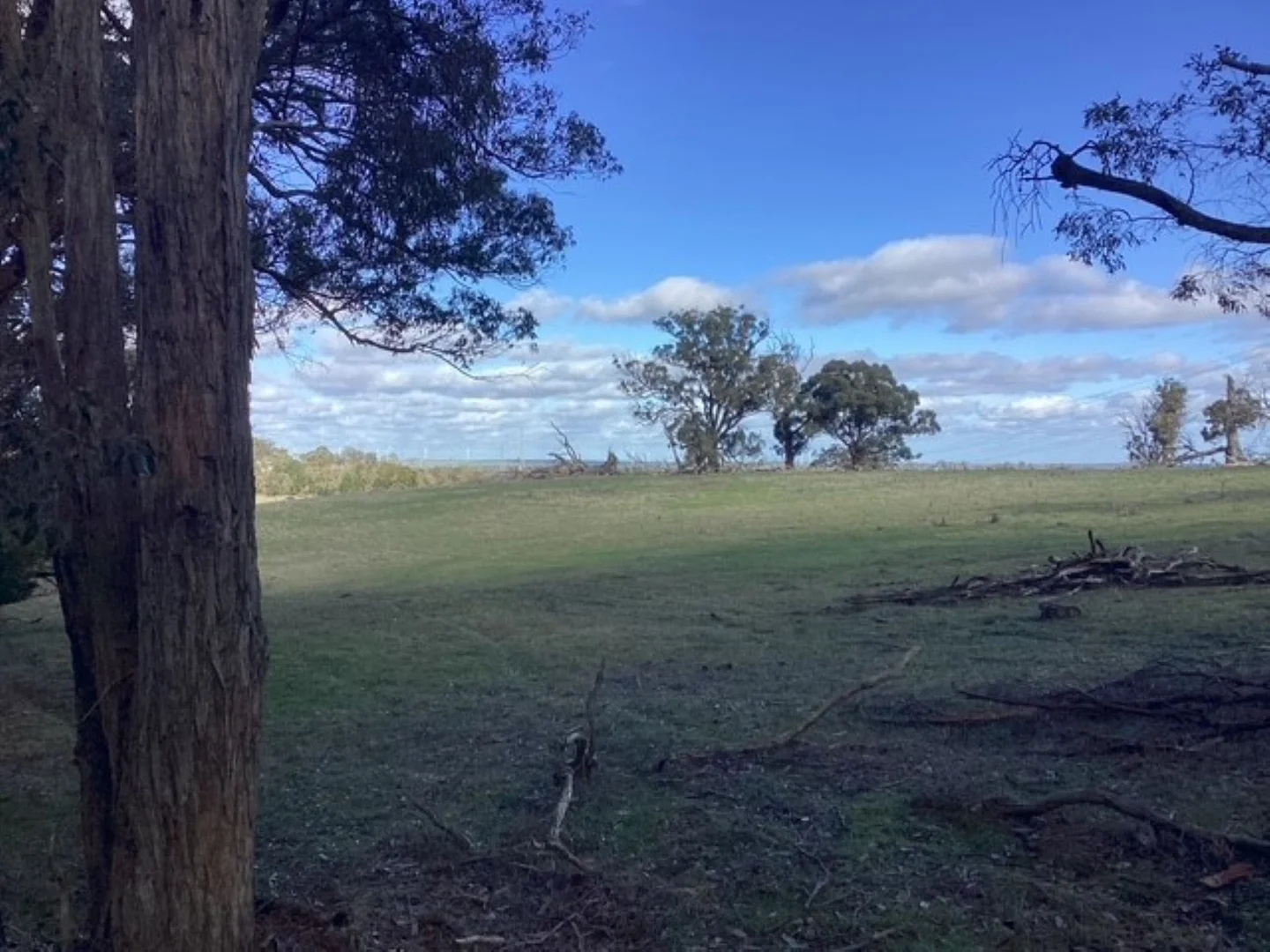 Image 14
