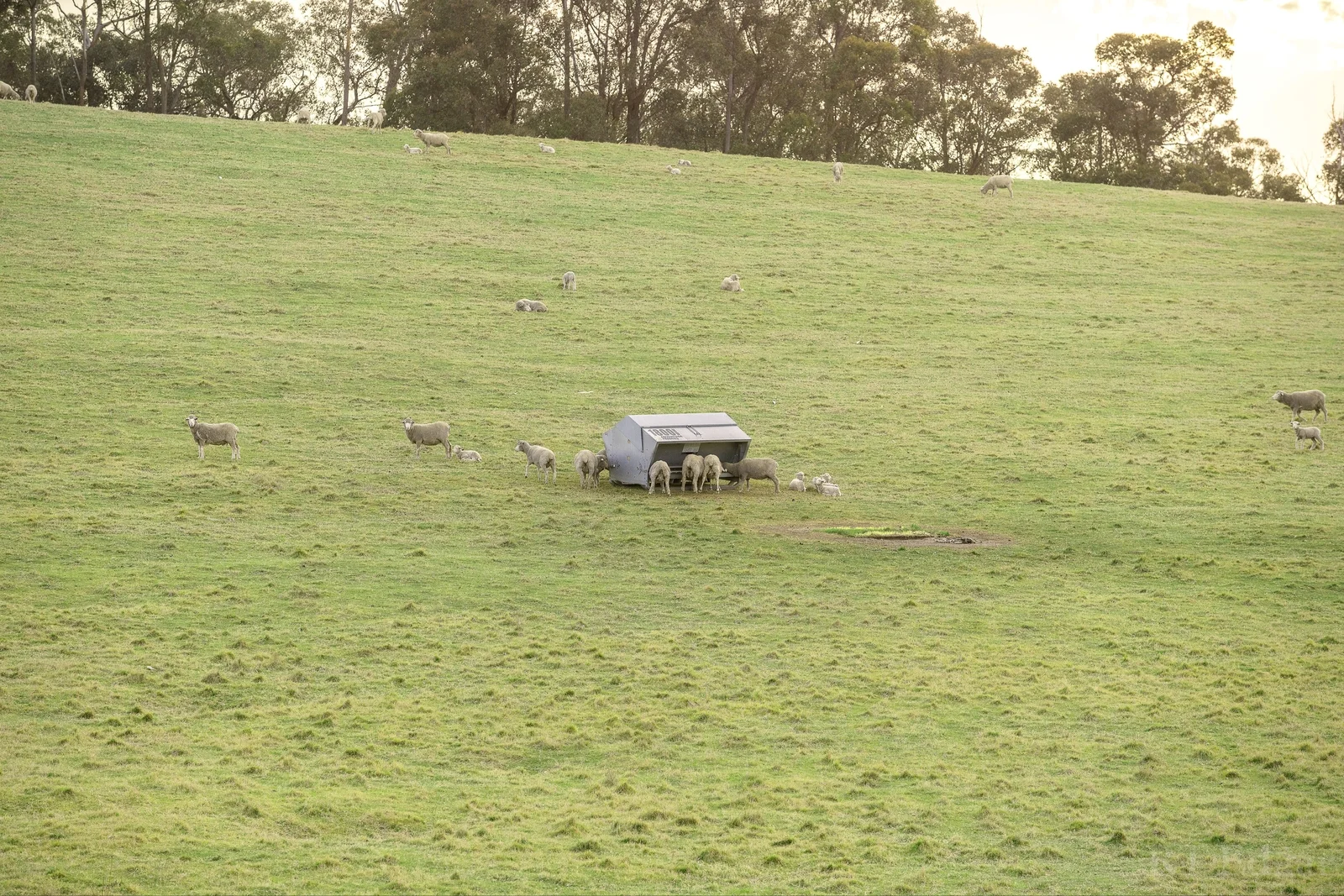 Image 18