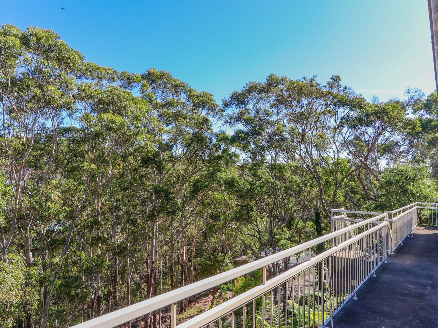 17 Narooma Place, Gymea Bay NSW 2227, Image 1