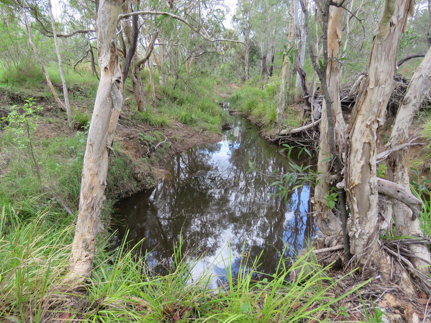 Langdons Road, Monduran QLD 4671, Image 1