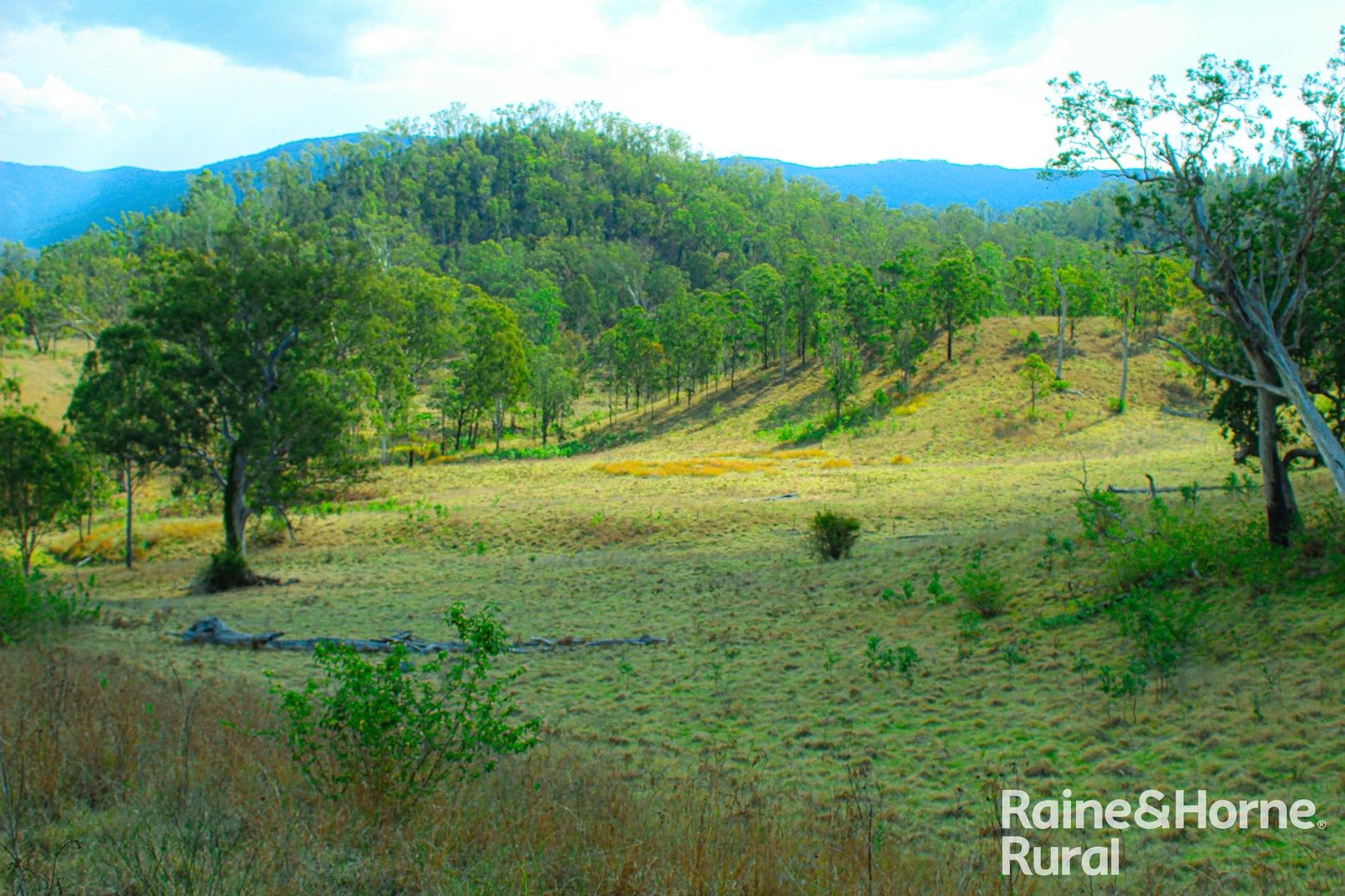 198 Lower Rocky River Road, Drake NSW 2469, Image 0