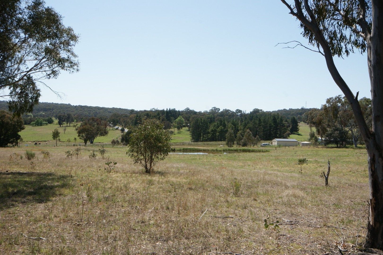 Lot 23 Invergowrie Road, Invergowrie NSW 2350, Image 0