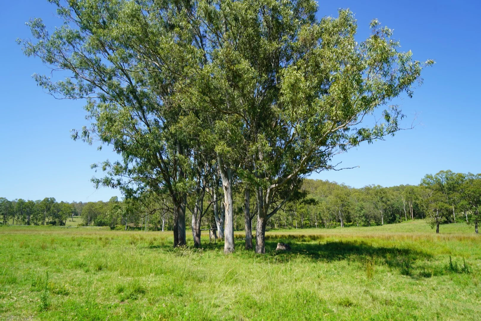 Additional image 25 of 113 Bruxner Highway, Casino NSW 2470