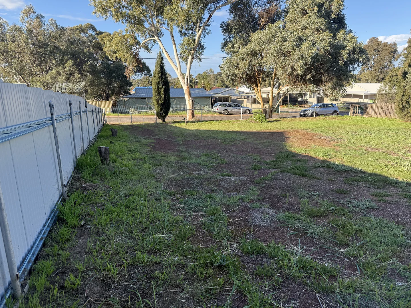 Image 12