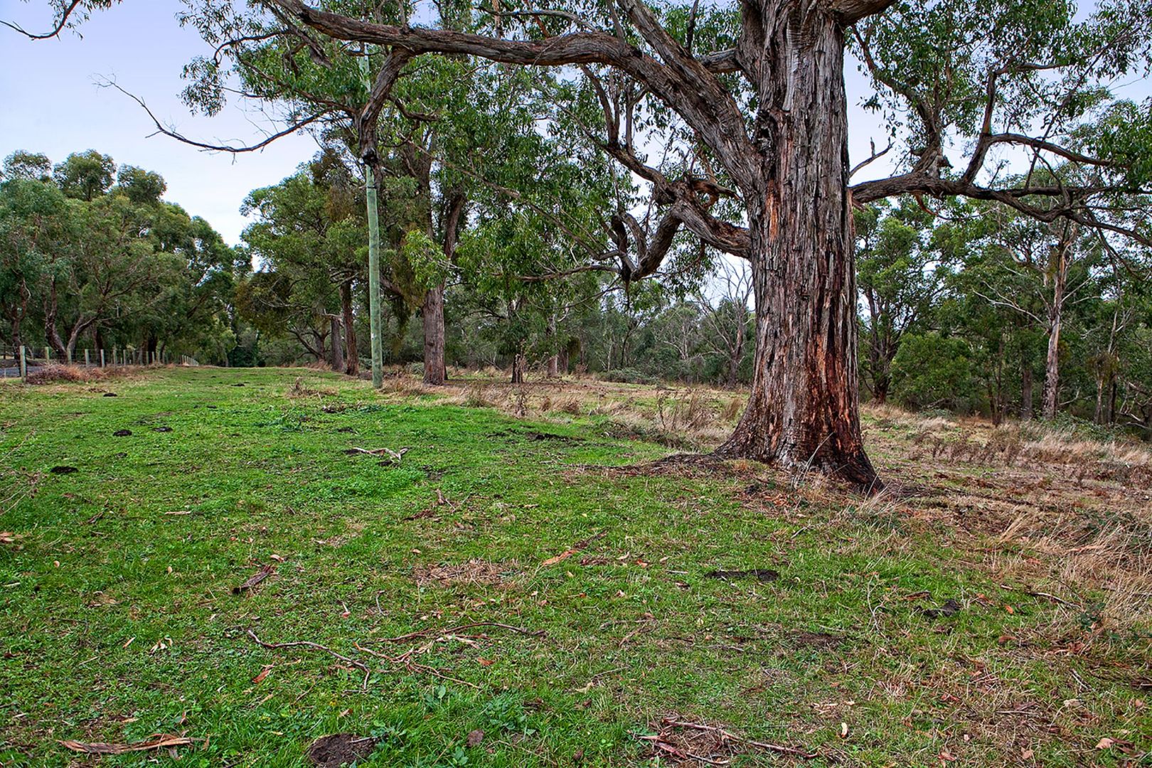 Lot 1 Martin Road, Garfield North VIC 3814, Image 2