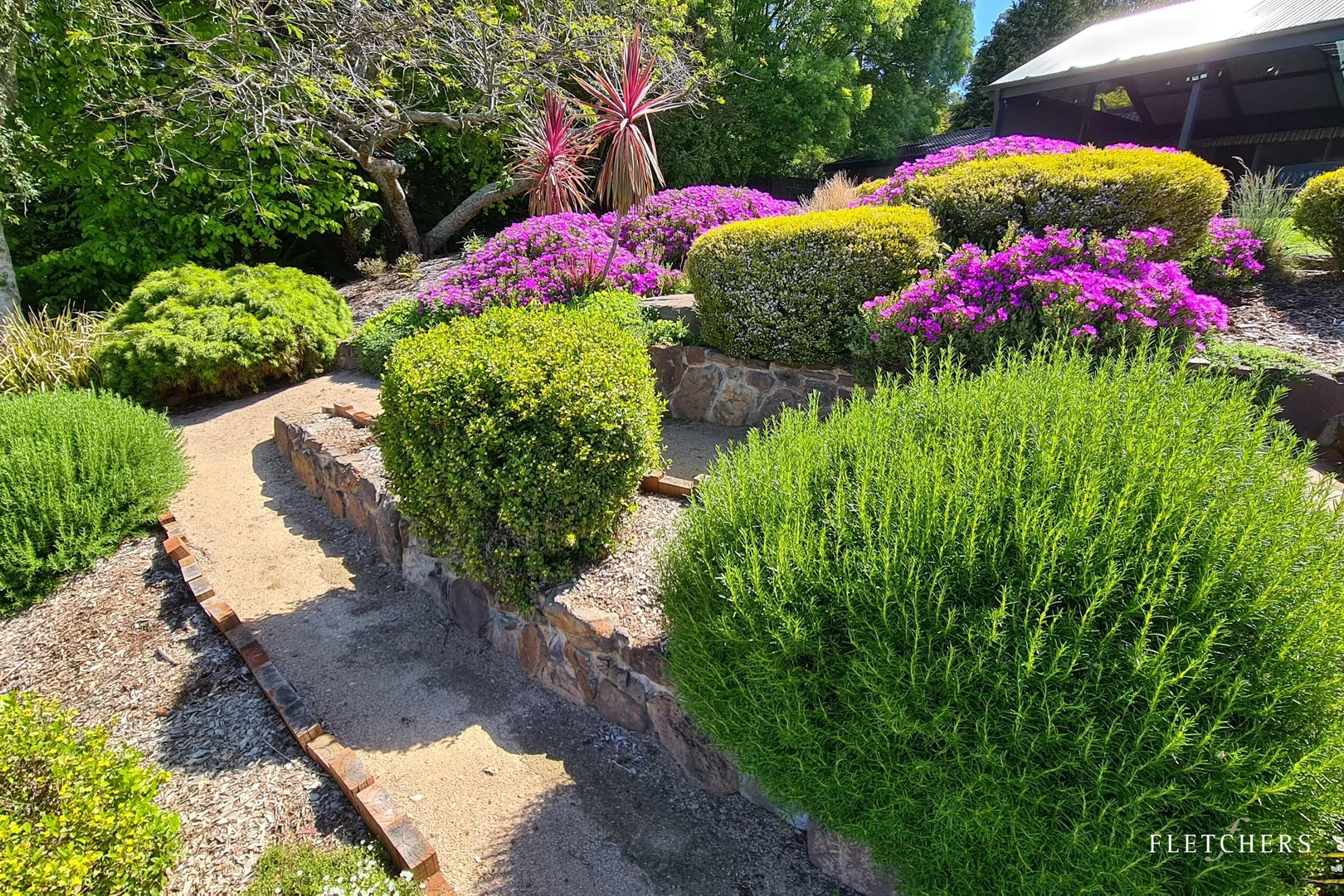 Image 33