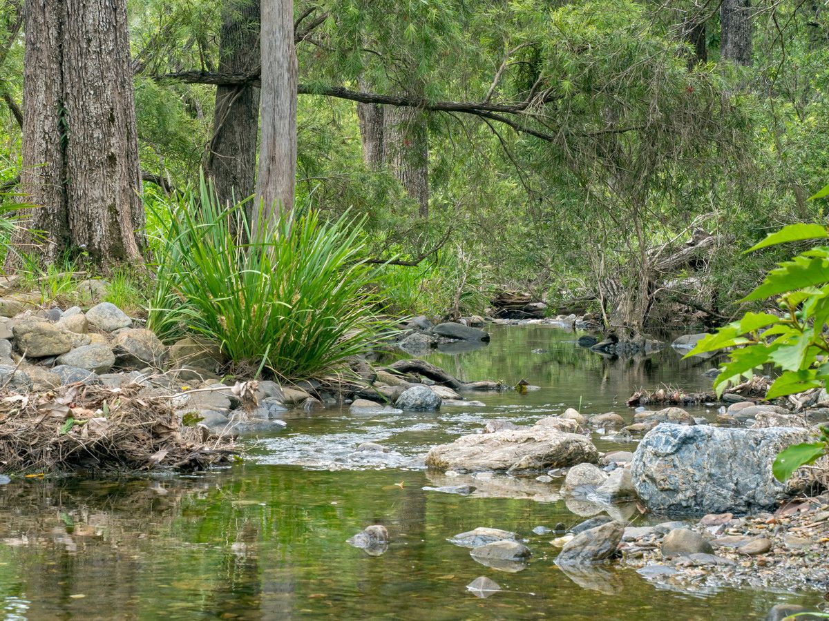 31 Branch Road, Kobble Creek QLD 4520, Image 1