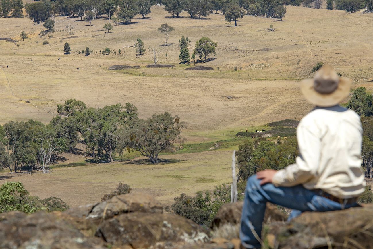 8569 SUNNY-BRAE NEWELL HIGHWAY, Coonabarabran NSW 2357, Image 0