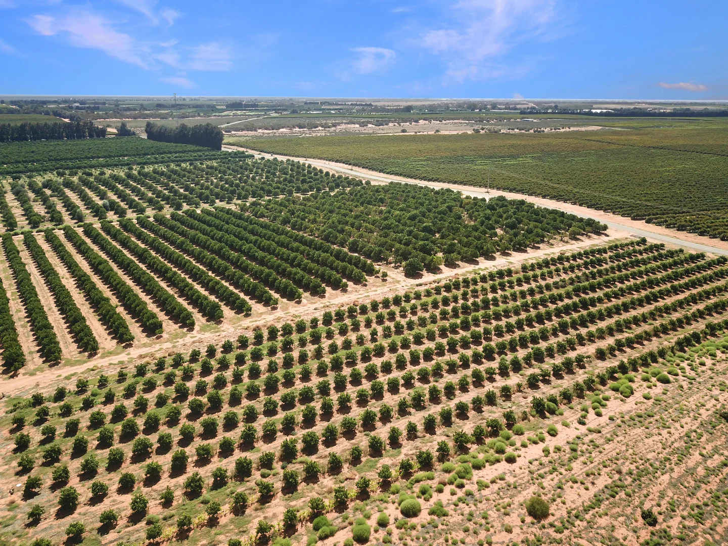 Additional image 8 of Lot 80 Foster Road, Sunlands SA 5322