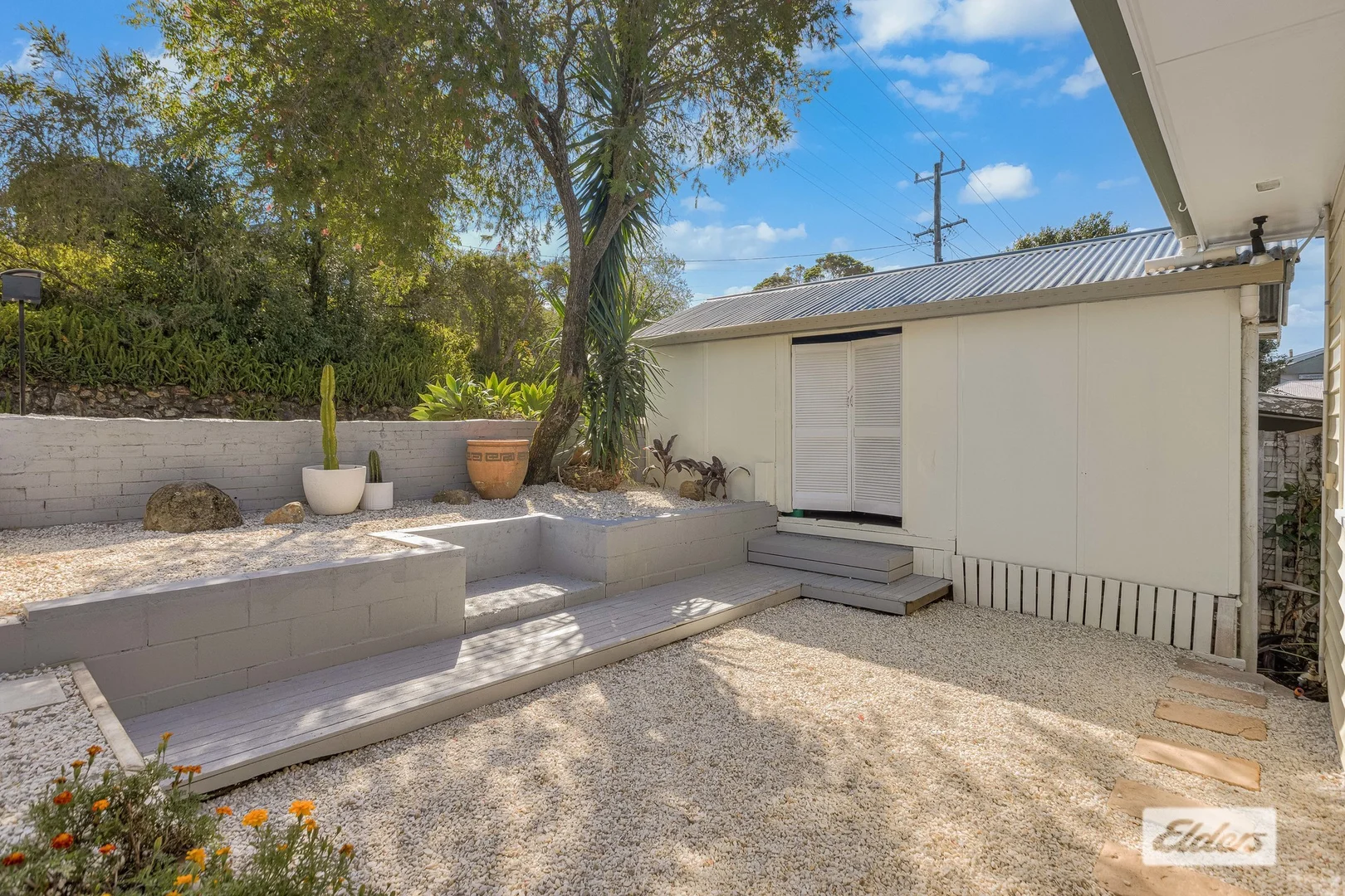 Image 19
