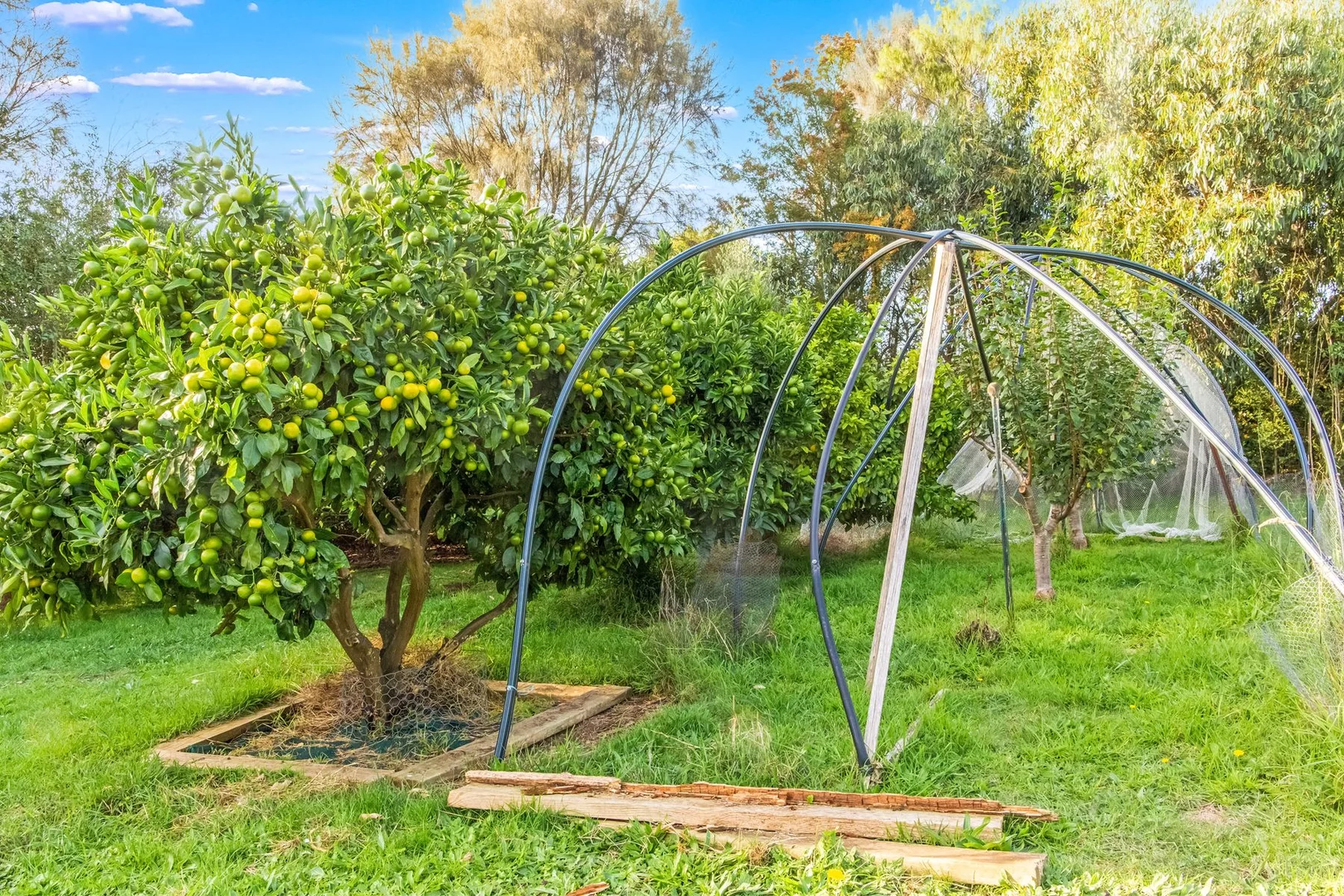 Additional image 11 of 20 Nerrena Road, Dumbalk VIC 3956