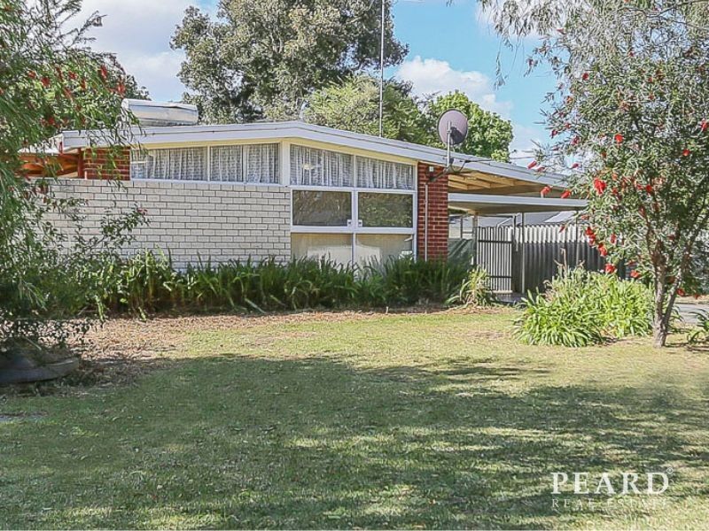 41 Knowles Street, Balcatta WA 6021 House For Rent Domain