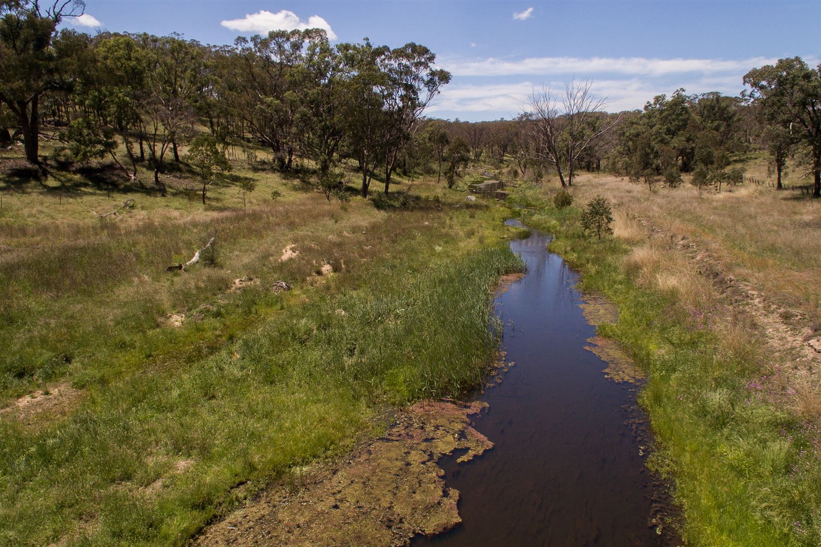 1202 Bakers Creek Road, Bundarra NSW 2359, Image 2