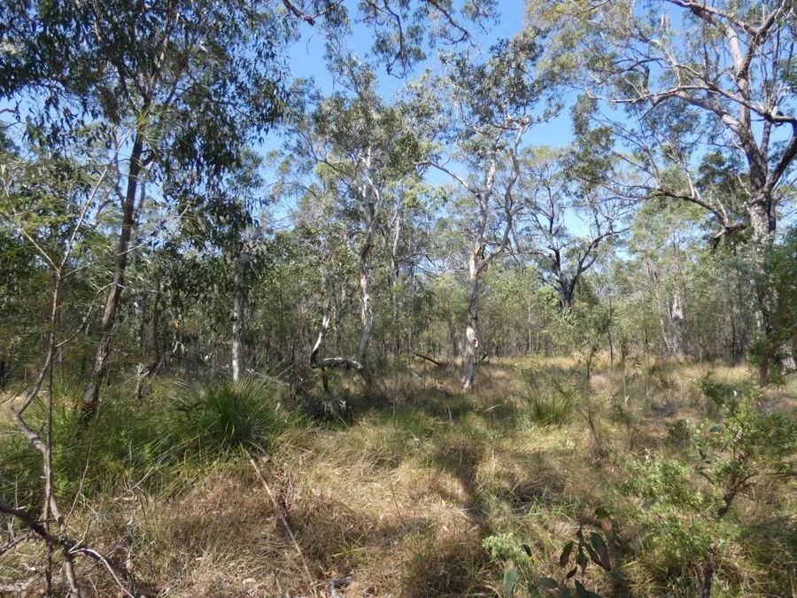 Image 29
