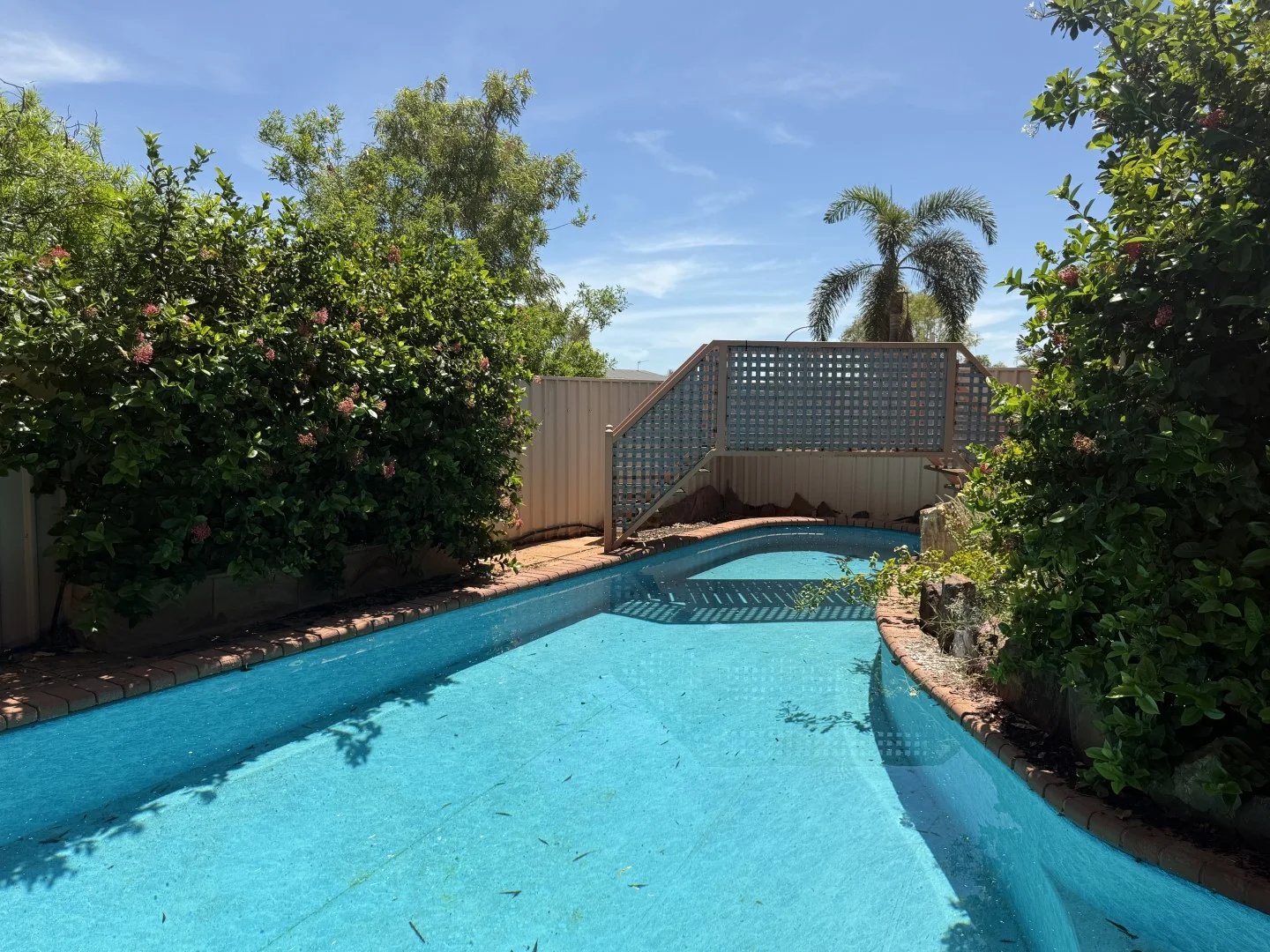 Image 19
