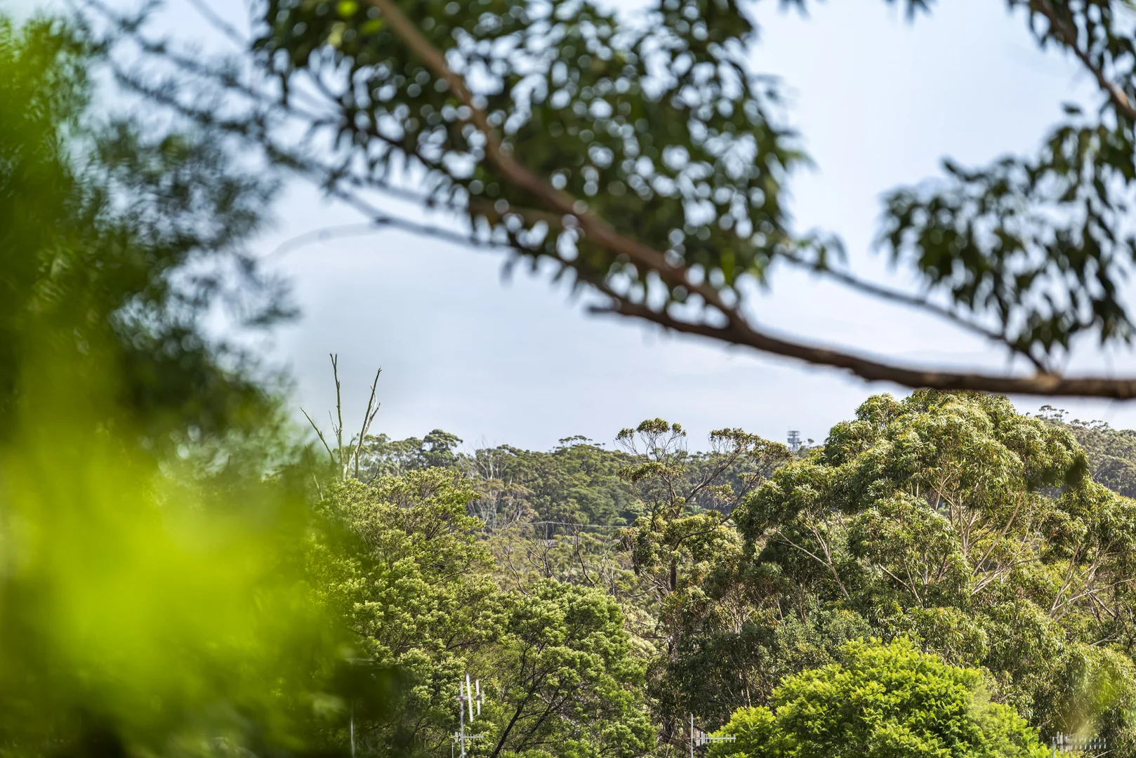 Image 15