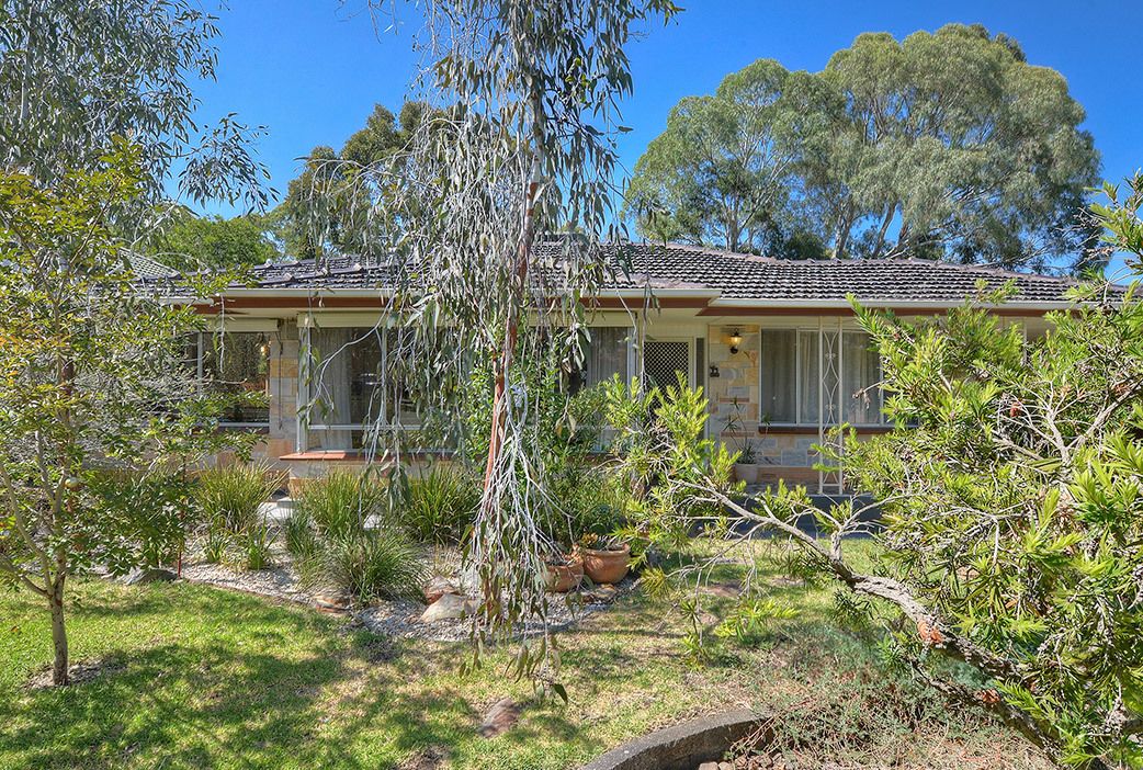 13 Ascham Road, Hope Valley SA 5090, Image 0