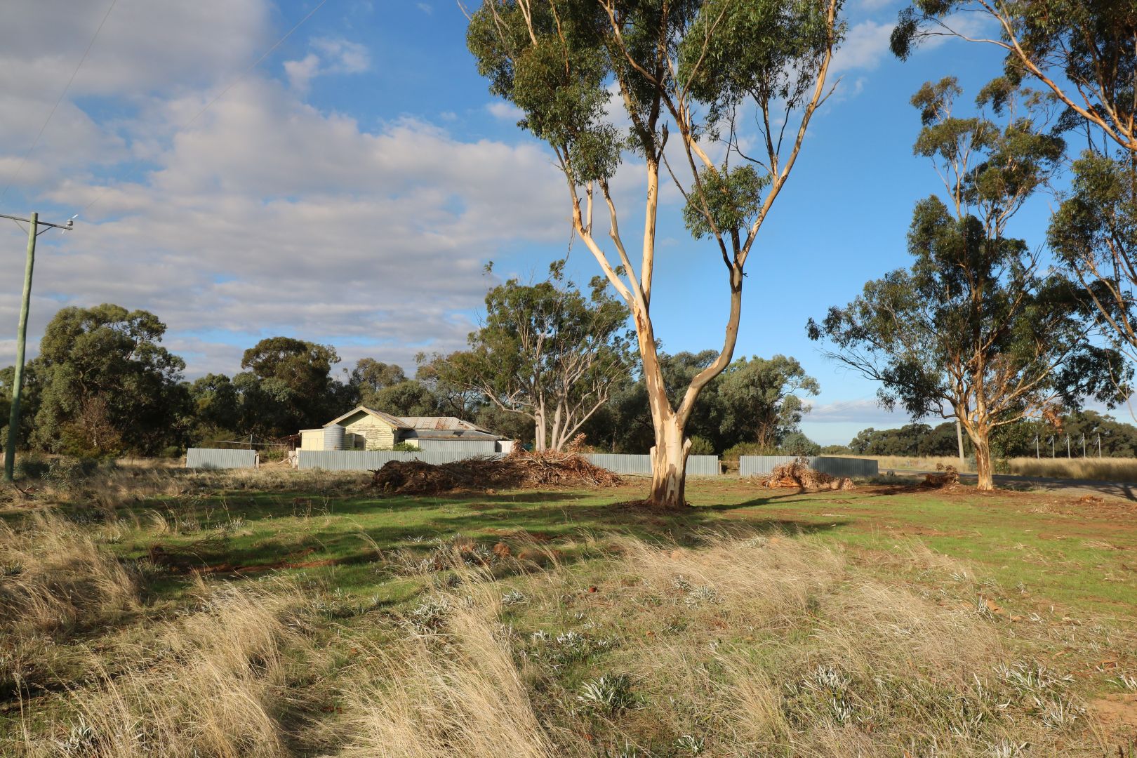 Crn Echuca-Serpentine & Prairie Road, Calivil VIC 3573, Image 2