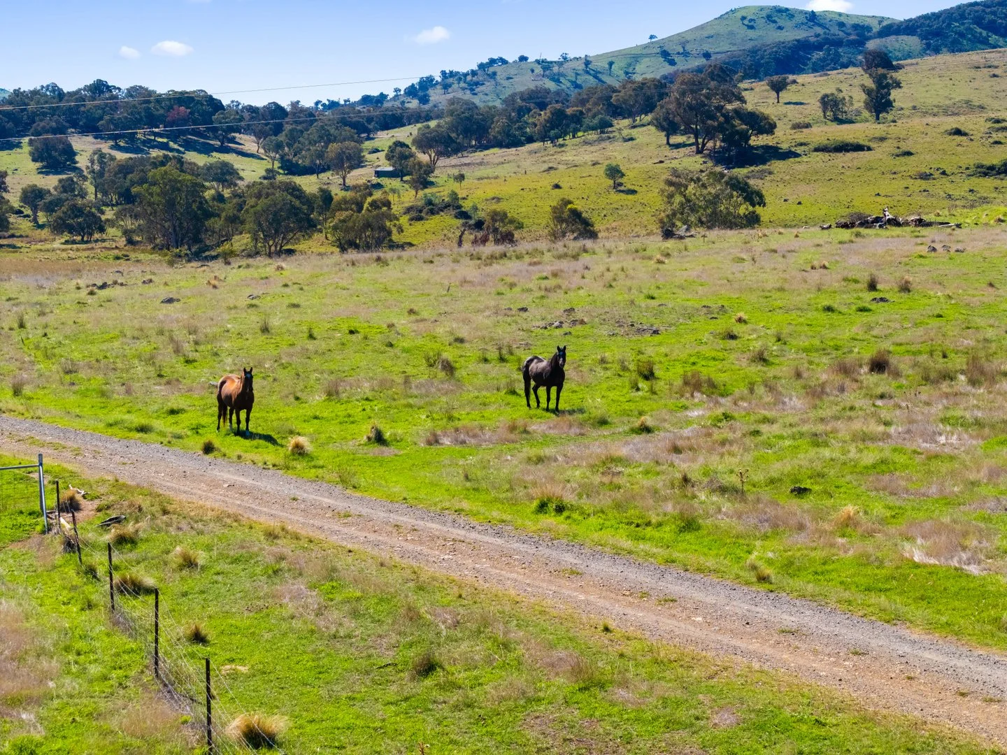 Additional image 21 of 267 Spring Range Road, Springrange NSW 2618