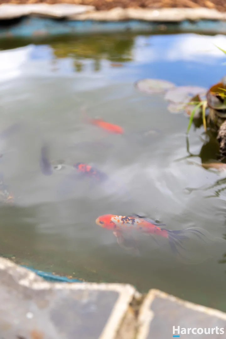 Additional image 24 of 16 Mungala Crescent, Miandetta TAS 7310