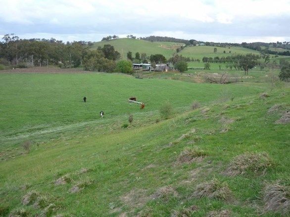 Picture of NUTFIELD VIC 3099