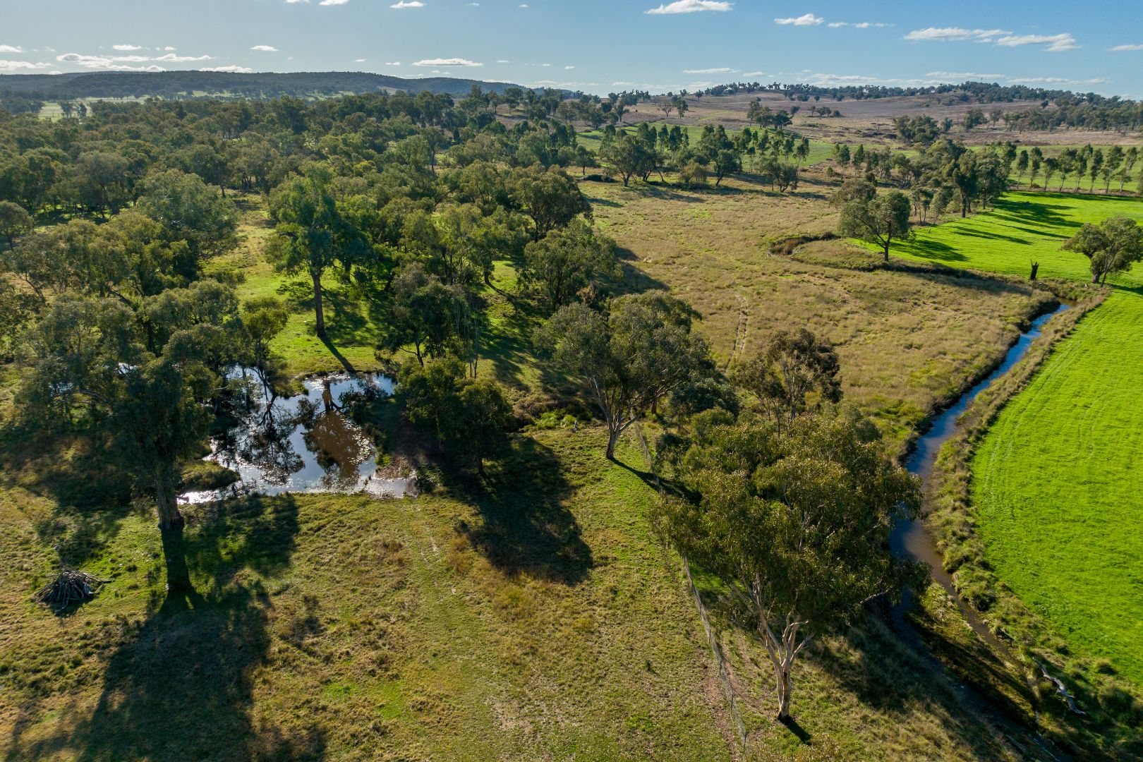 6586 Mitchell Highway, Molong NSW 2866, Image 2