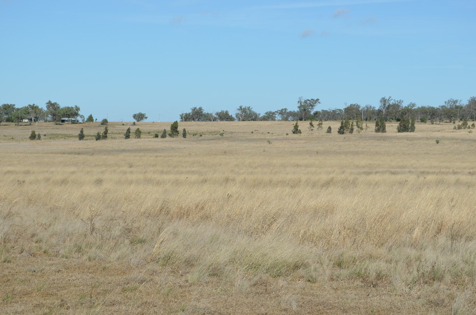 Jondaryan QLD 4403, Image 0