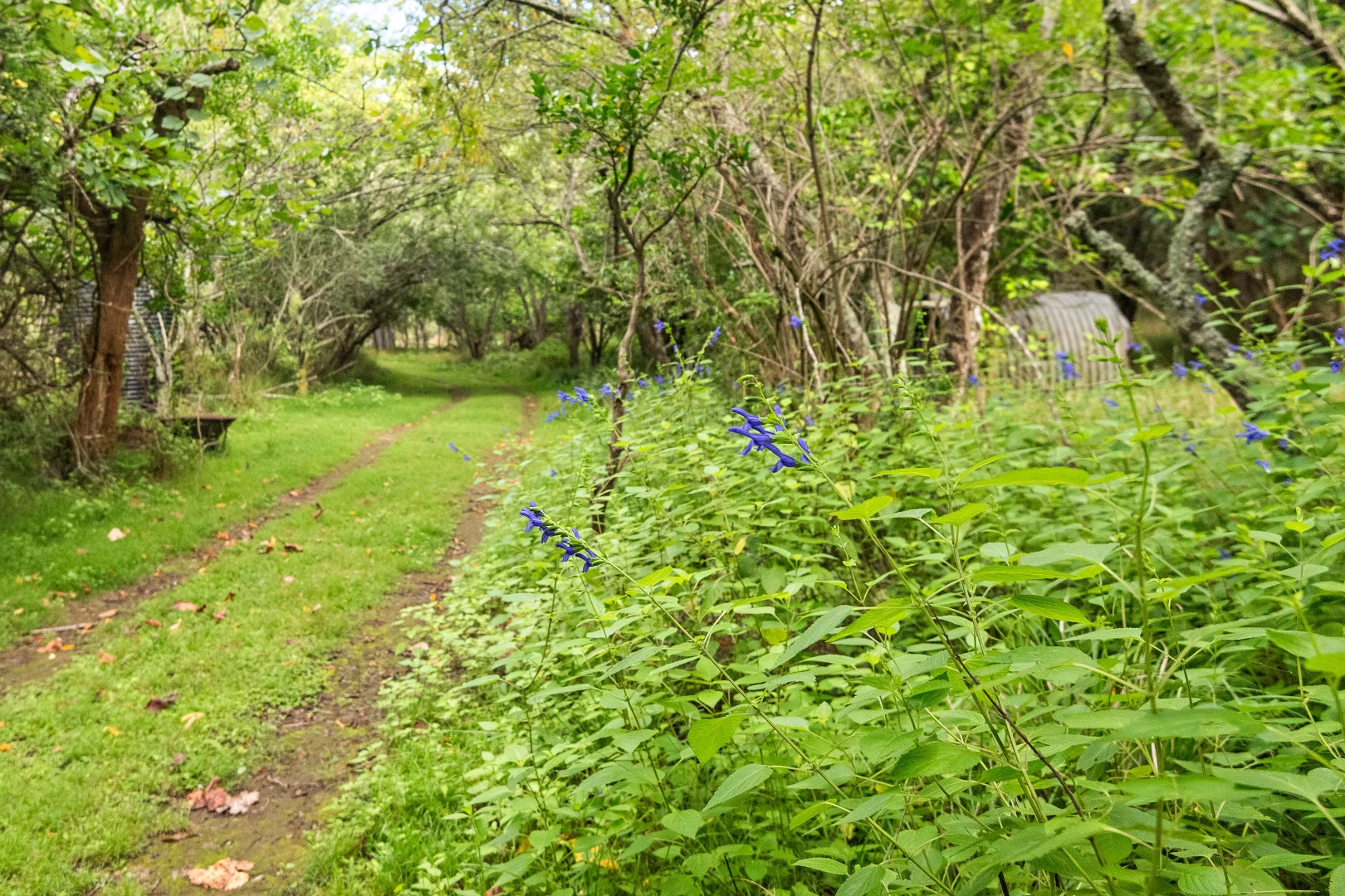 Additional image 16 of 2600 Araluen Road, Deua River Valley NSW 2537