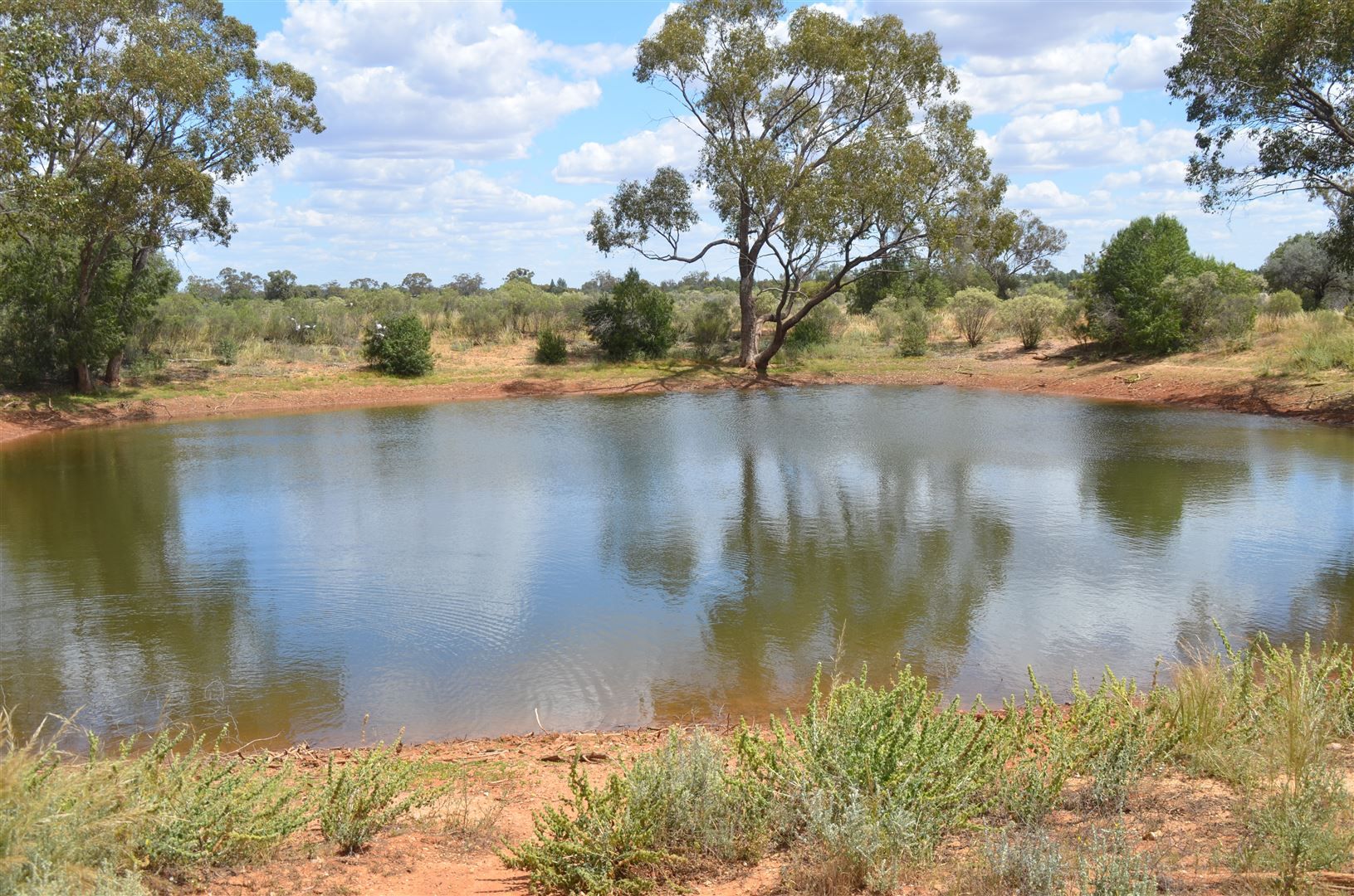 * Shuttleton, Nymagee NSW 2831, Image 2