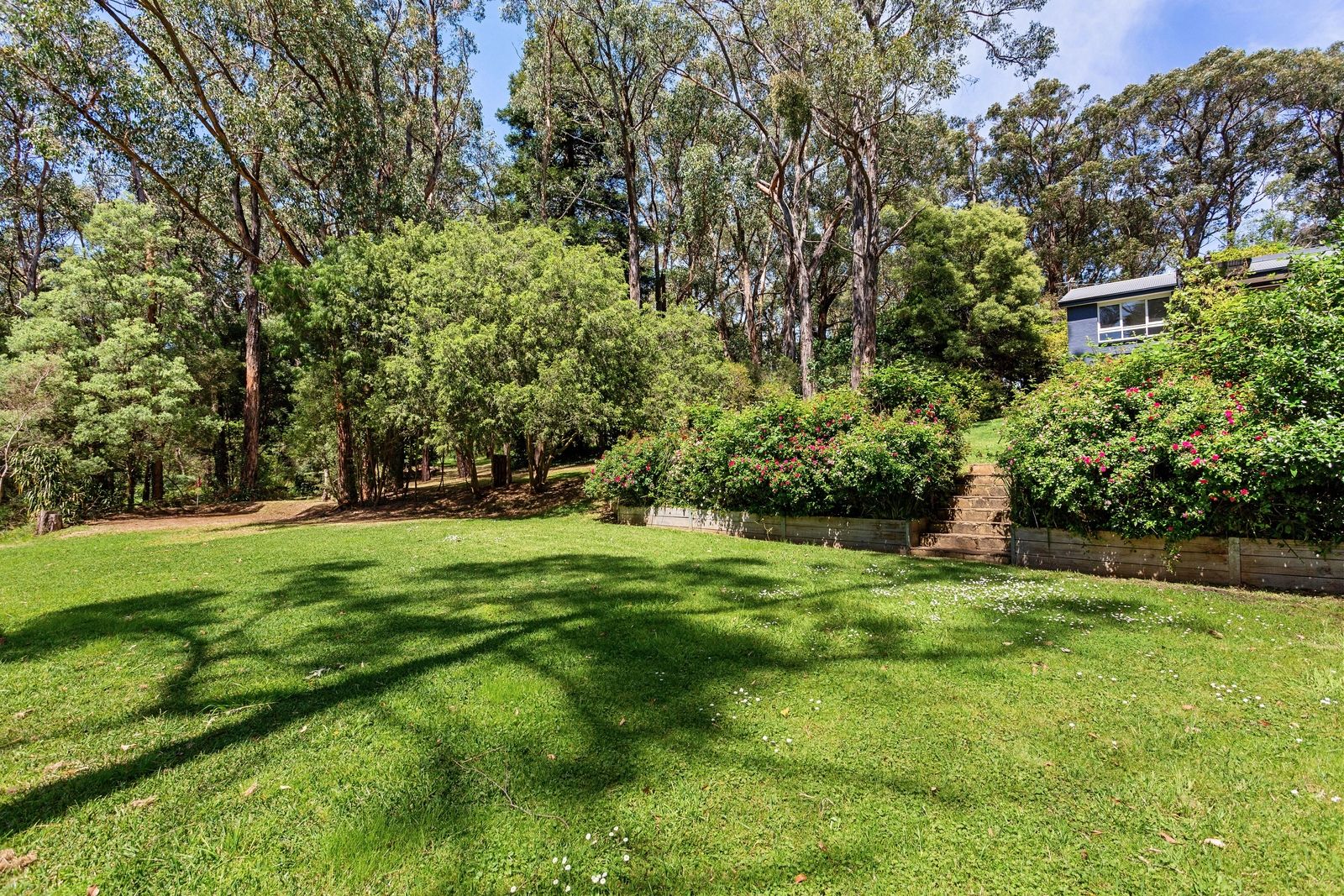 201 Point Leo Road, Red Hill South VIC 3937, Image 0