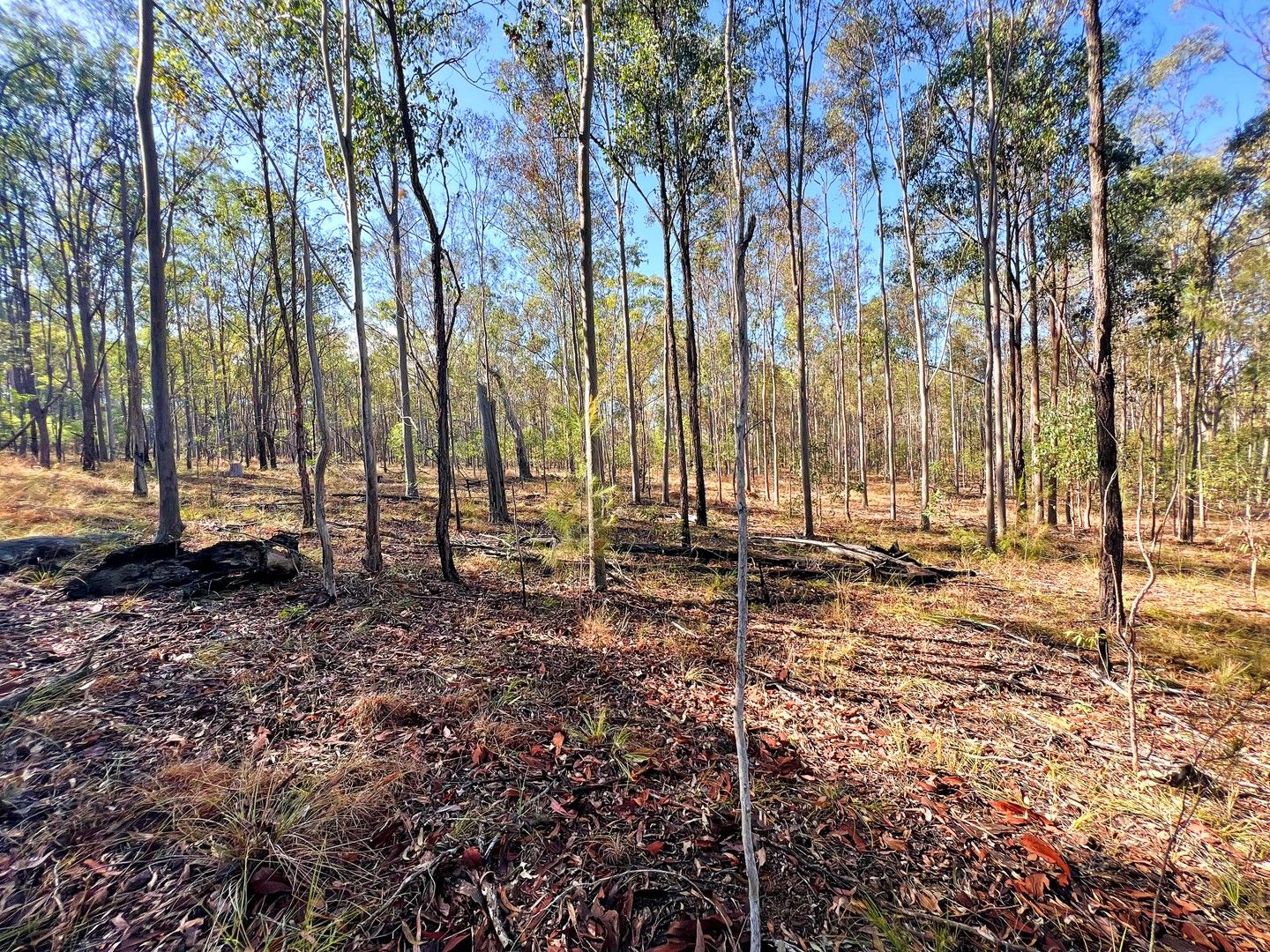 Lot 10, 134 Kent Tobin Road, Maroondan QLD 4671, Image 0