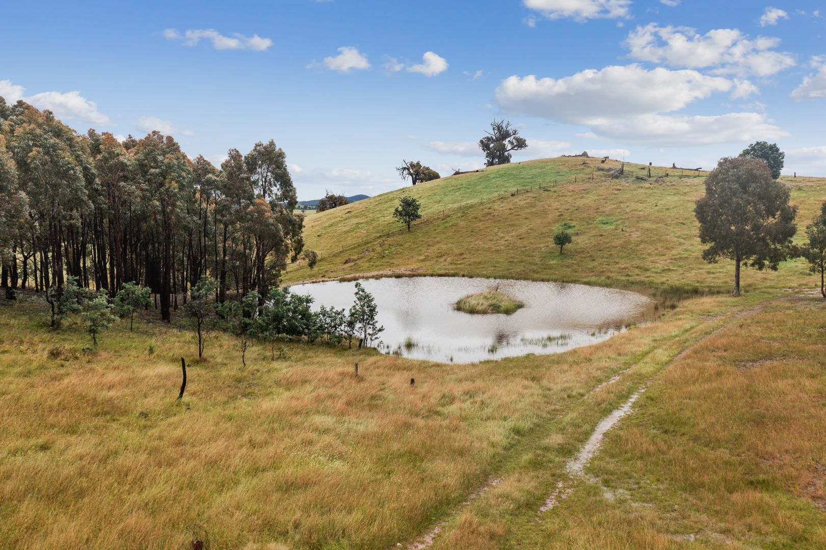 'Rustic Abor' 169 Elms Rd, Lade Vale NSW 2581, Image 1