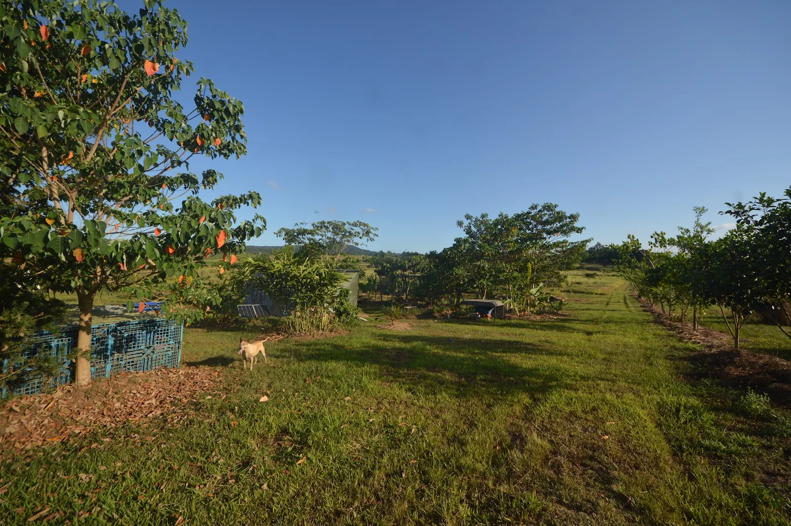 Image 15
