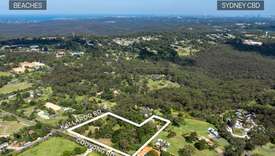 Picture of Lot 186 Cooyong Road, TERREY HILLS NSW 2084