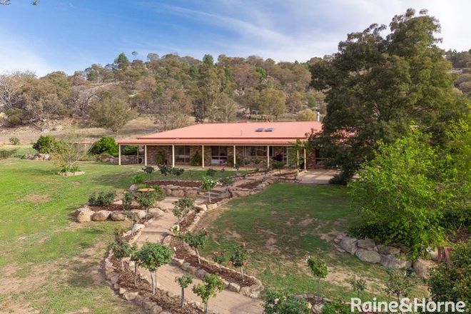 Picture of 6701 Holbrook Road, ROWAN NSW 2650