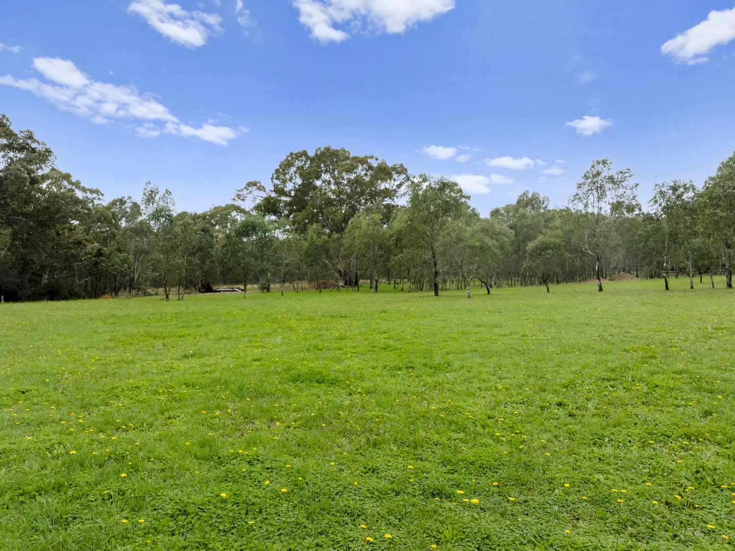 Additional image 3 of 8195 Maroondah Highway, Merton VIC 3715