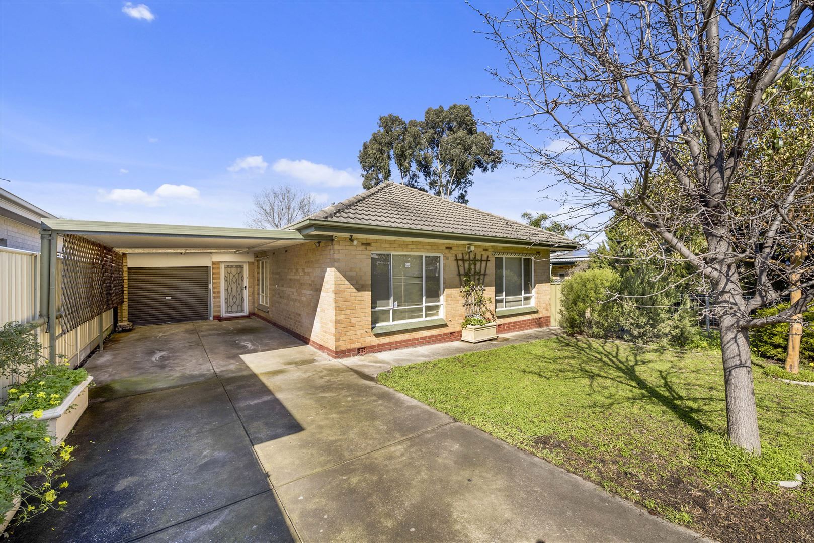 25 Olinda Road, Windsor Garden Property History & Address Research