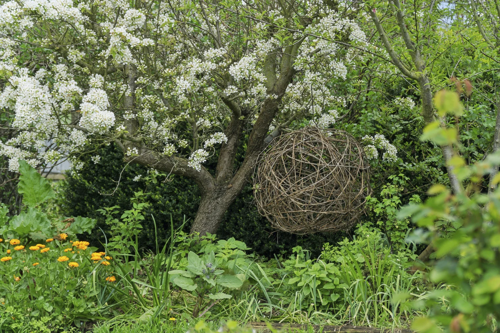 Image 24