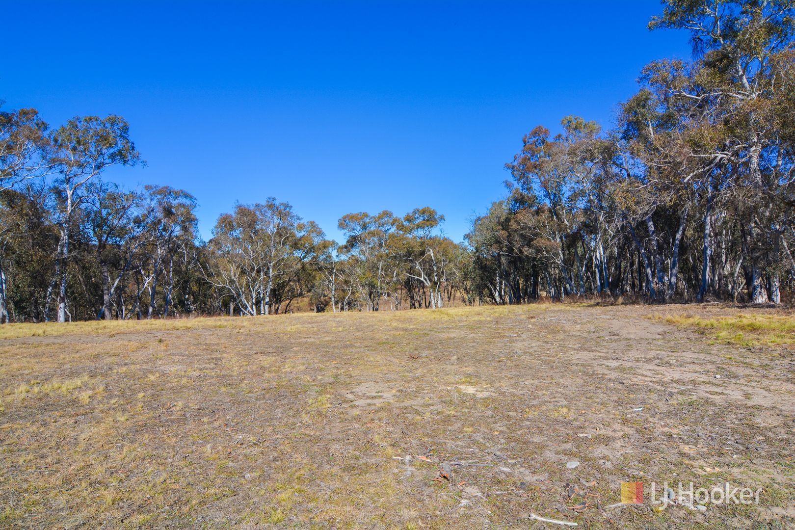 Lot 16 Portland Cullen Bullen Road, Portland NSW 2847, Image 2