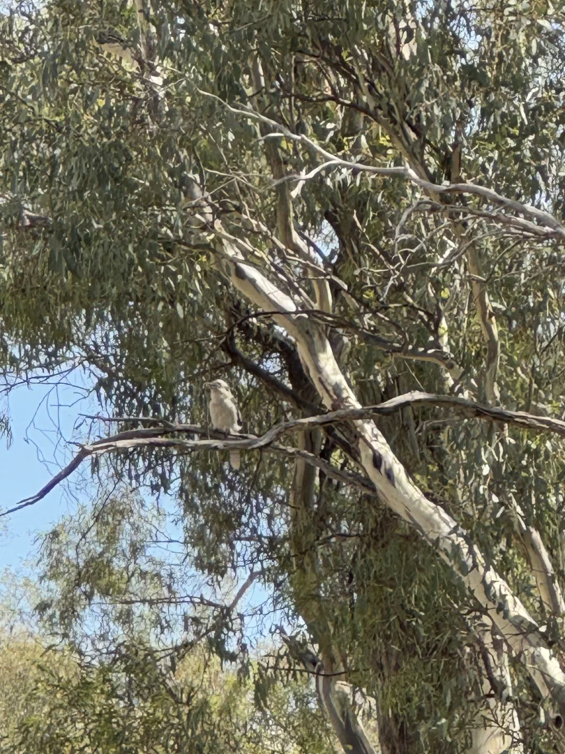 Image 9