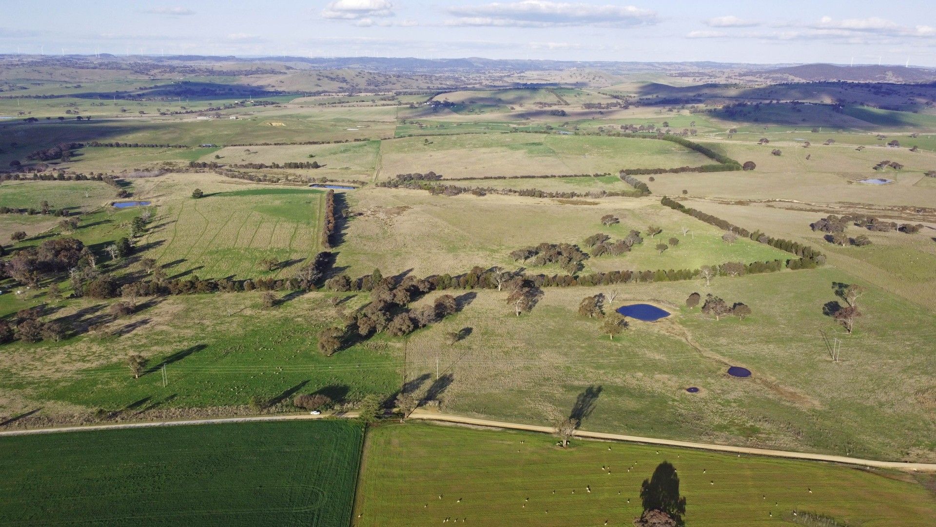 Hopefield Lane, Boorowa NSW 2586 House for Sale Domain